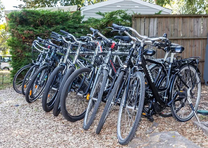 Le Soleil Des Landes